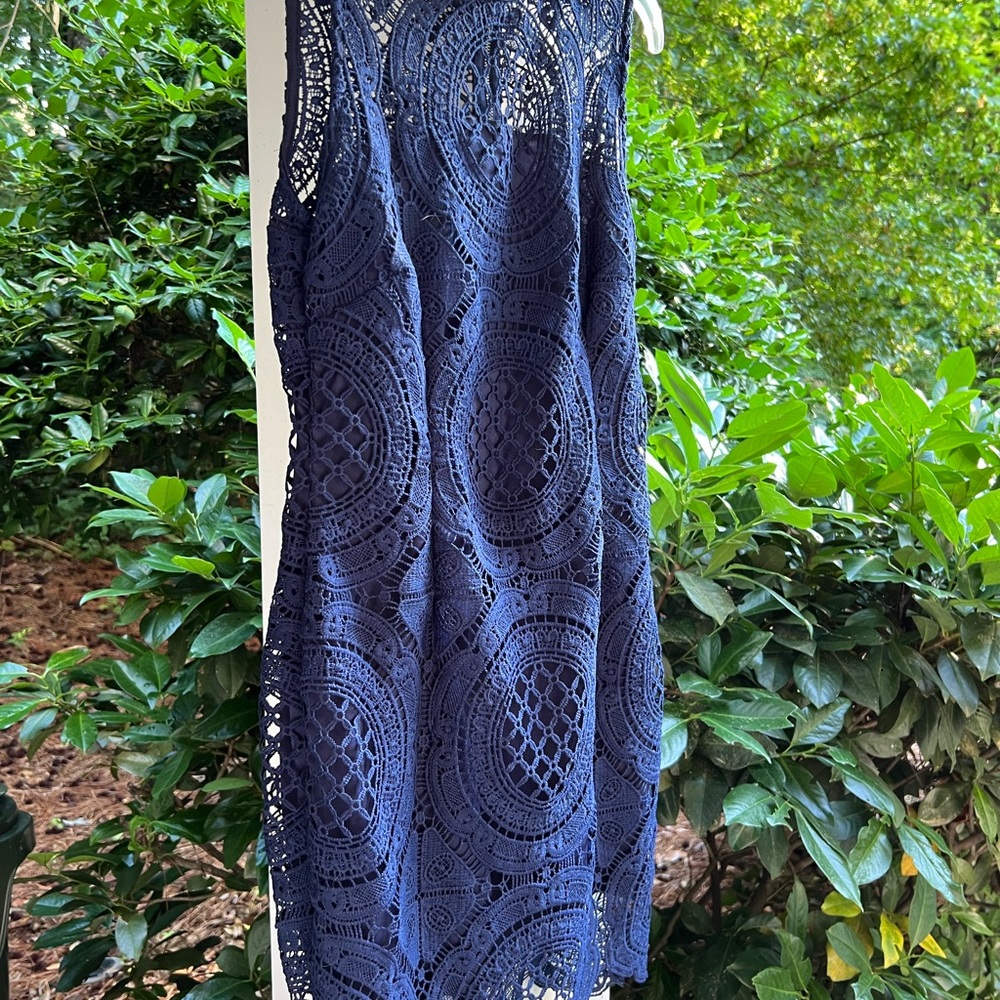 BCX Navy Lace Midi Dress
